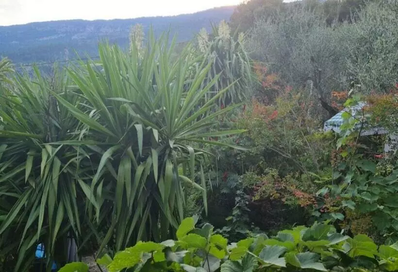 Aamiaismajoitus (B&B) Chambres D Hôtes Des Oliviers