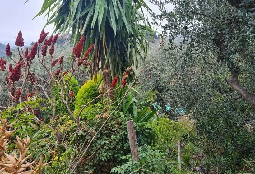 Aamiaismajoitus (B&B) Chambres D Hôtes Des Oliviers