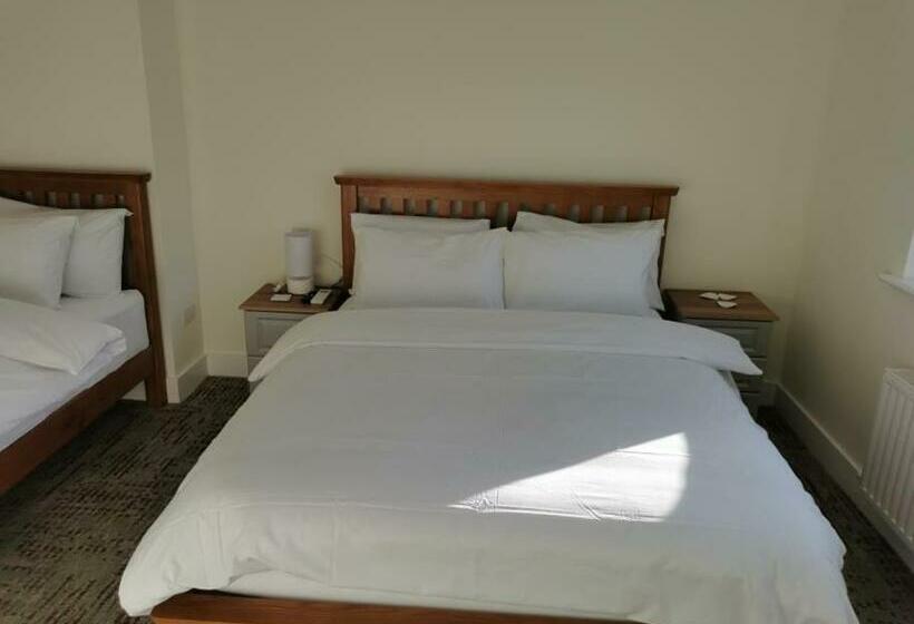 مبيت وإفطار Coliemore Acommodation Dalkey