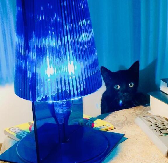 פנסיון Da Coco E Mini,l Angolo Per Ceramiste In Viaggio