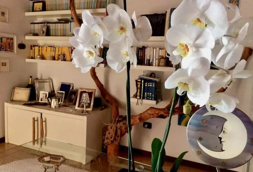 Majatalo Da Coco E Mini,l Angolo Per Ceramiste In Viaggio