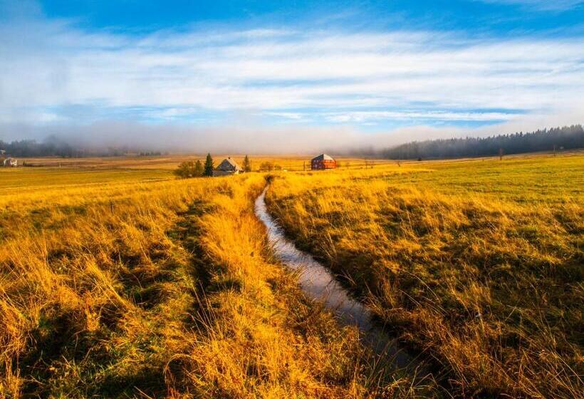 U Pivovaru Apartments Boží Dar