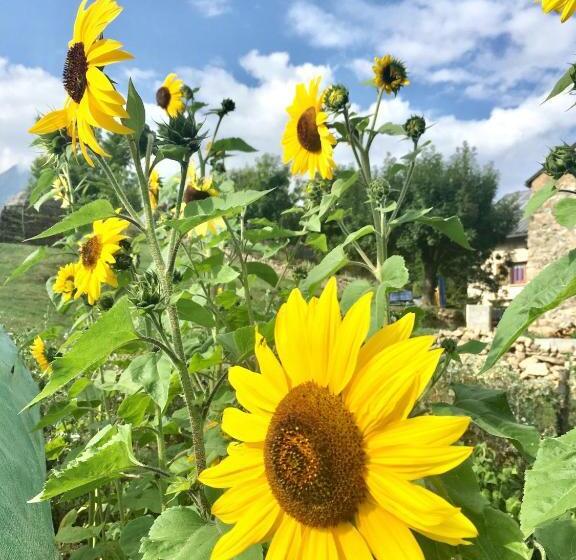 تختخواب و صبحانه Chalet D Hôtes Auris