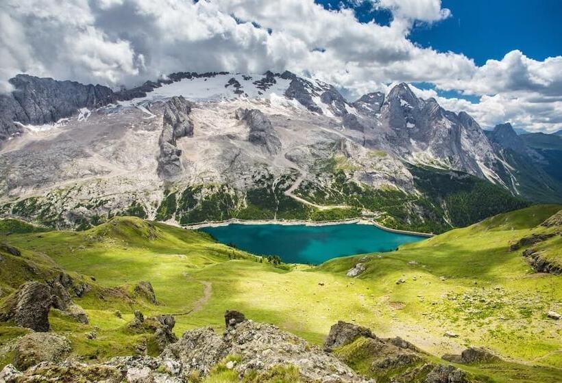 בית מלון כפרי Chalet Queen