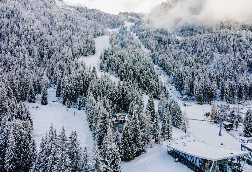 בית מלון כפרי Chalet Queen