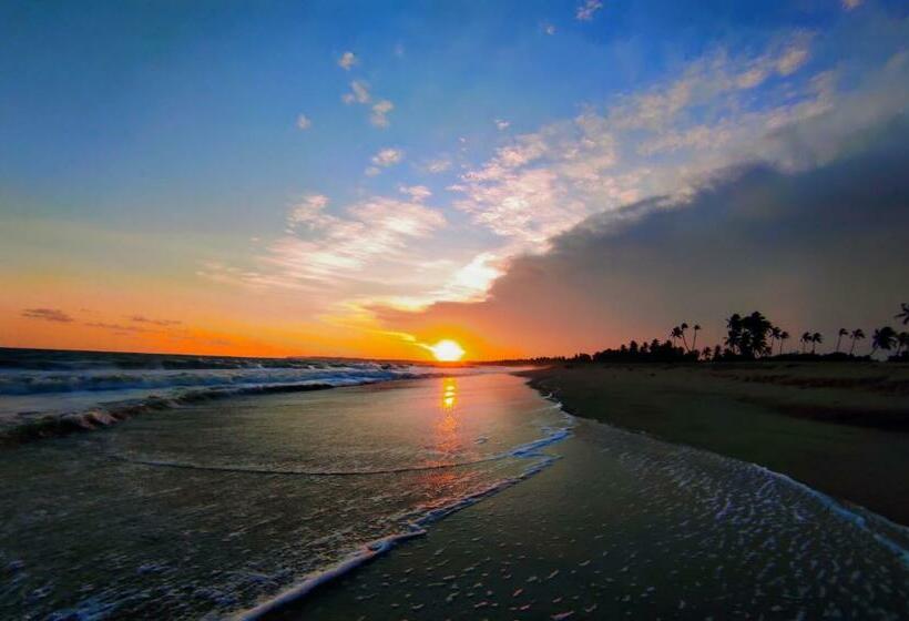 Hotel Sleeping Elephant Beach Resort