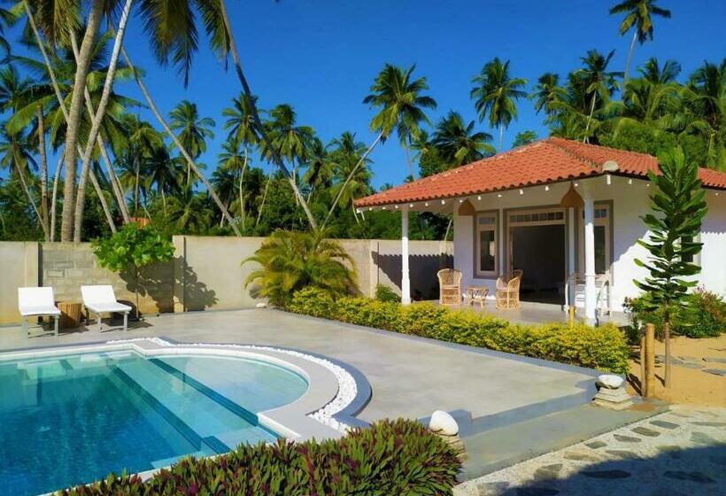 Hotel Sleeping Elephant Beach Resort