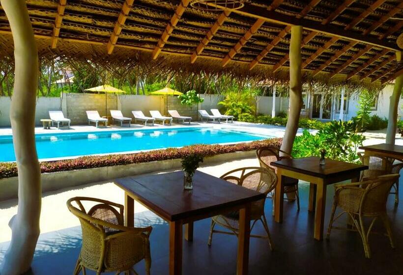 Hotel Sleeping Elephant Beach Resort