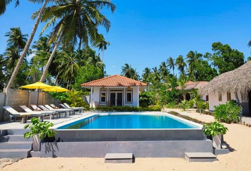 Hotel Sleeping Elephant Beach Resort