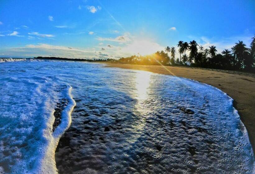 Hotel Sleeping Elephant Beach Resort