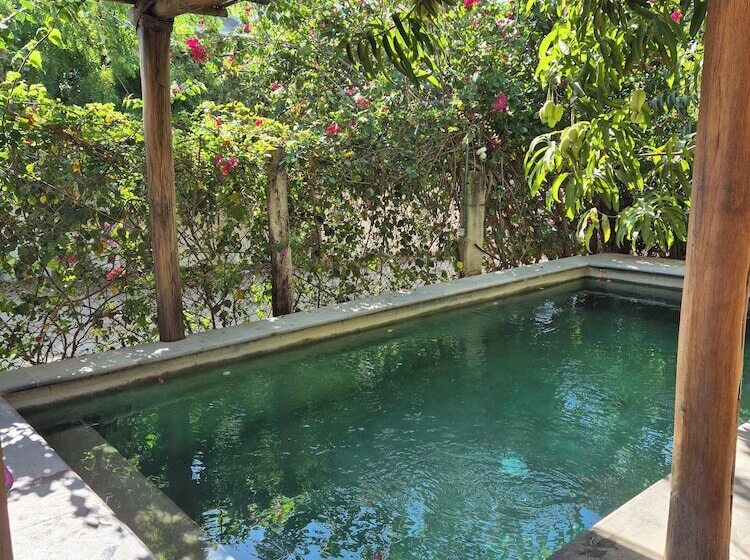 膳宿费 Bugambilias Alojamiento