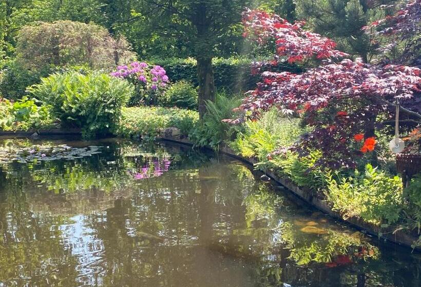 B&b. Het Hunebed Rolde