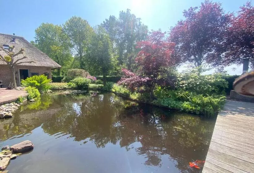 B&b. Het Hunebed Rolde