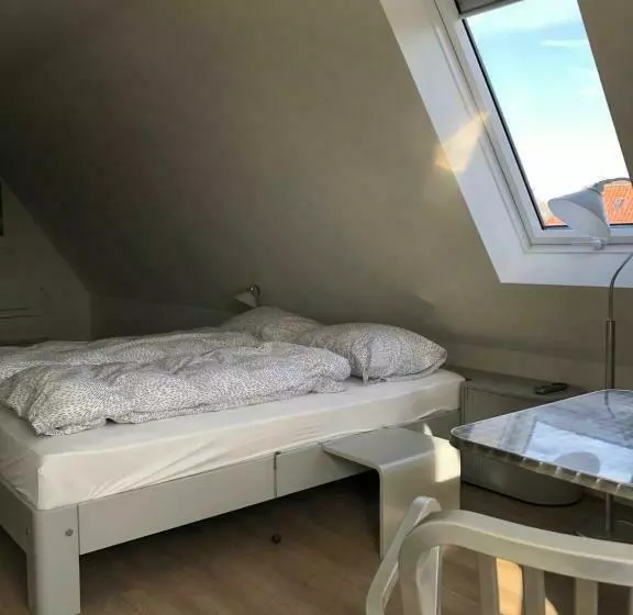 B&b De Gulden Halsband Pingjum