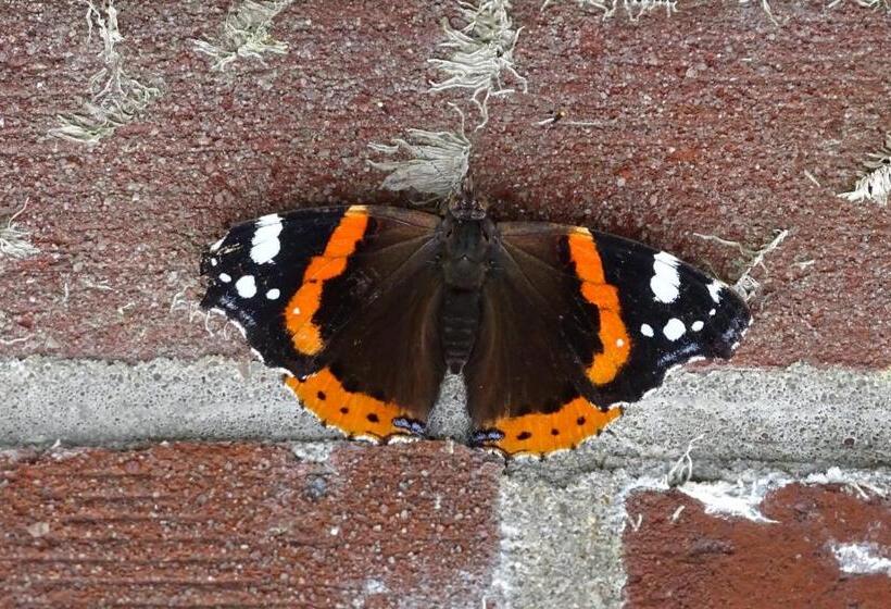 Bed and Breakfast Beekse Brink