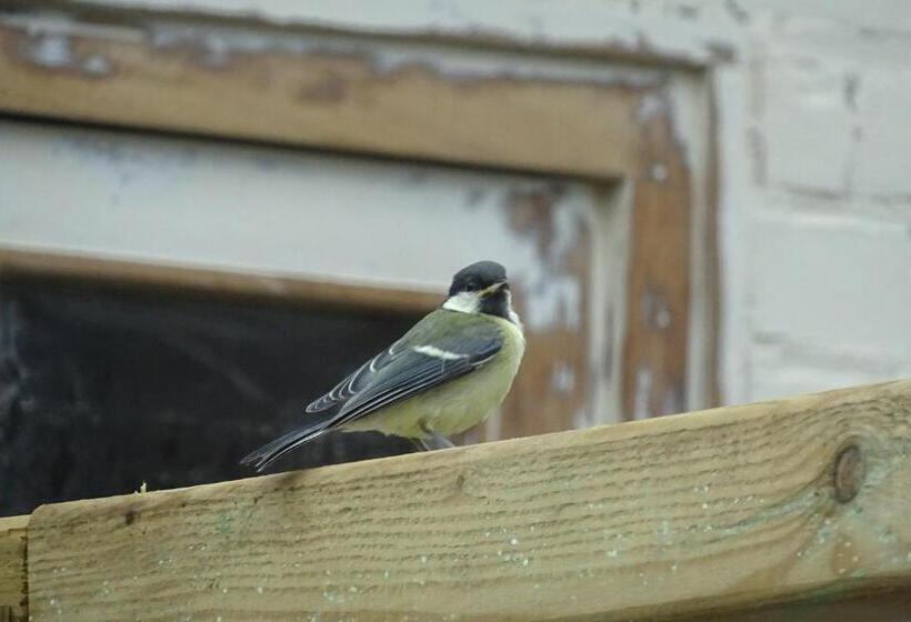 Bed and Breakfast Beekse Brink