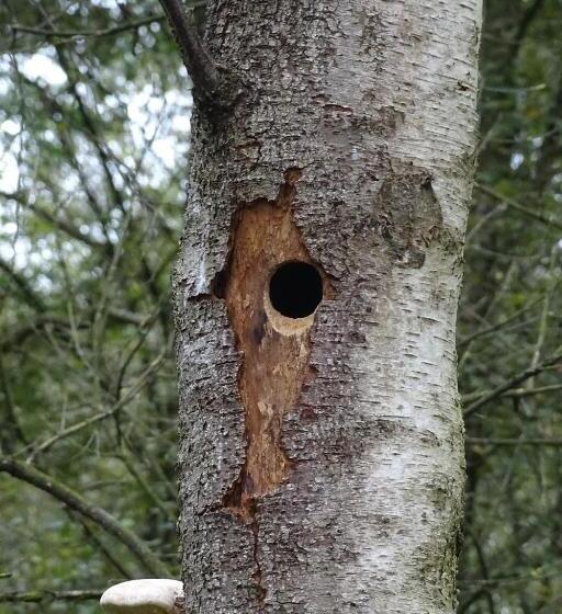 Bed and Breakfast Beekse Brink