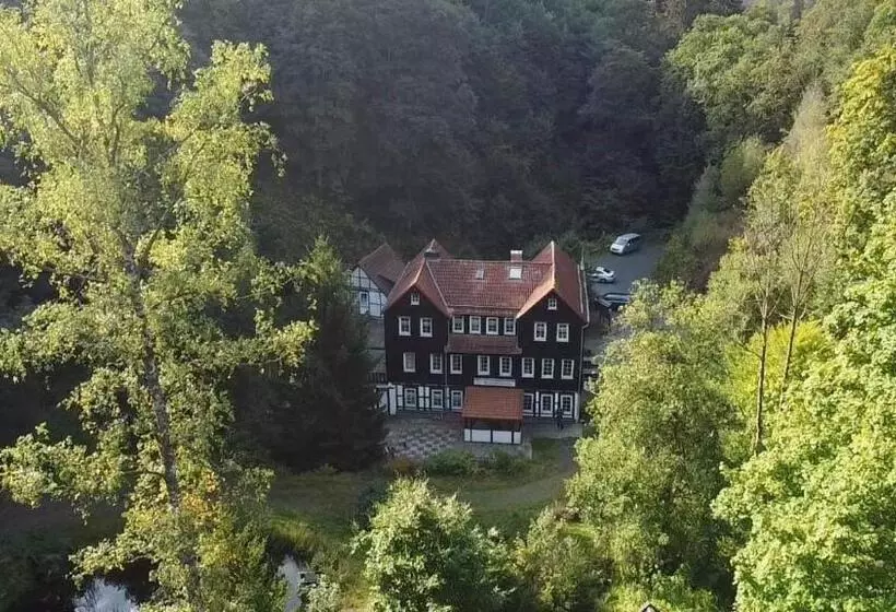 هتل Waldhaus Wolfsbachmühle