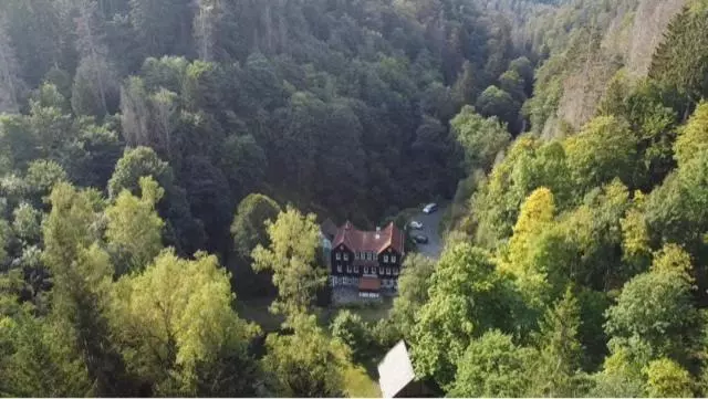 هتل Waldhaus Wolfsbachmühle