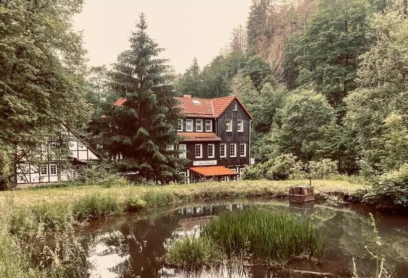 هتل Waldhaus Wolfsbachmühle