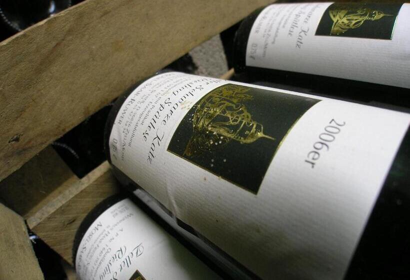 Appart Pension Schier