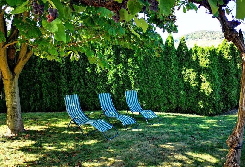 Appart Pension Schier