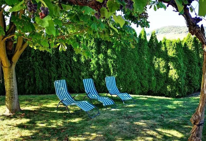 Appart Pension Schier