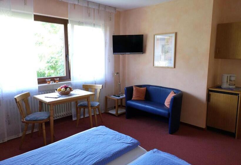 Appart Pension Schier