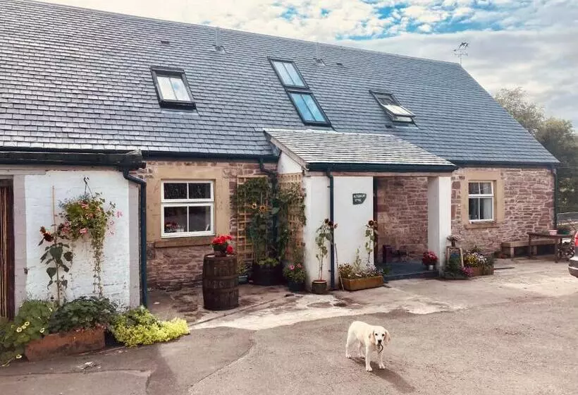 Aamiaismajoitus (B&B) Altquhur Byre