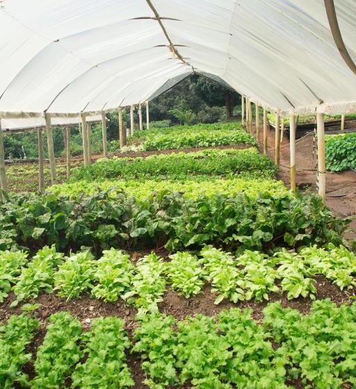 ホテル Ponto De Luz