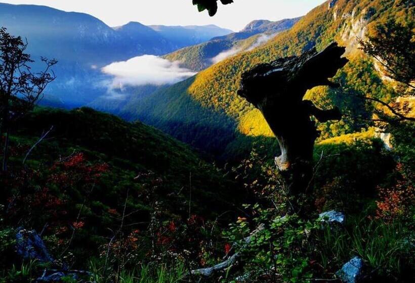 Pensiunea Alex & Restaurant