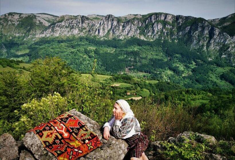 Pensiunea Alex & Restaurant