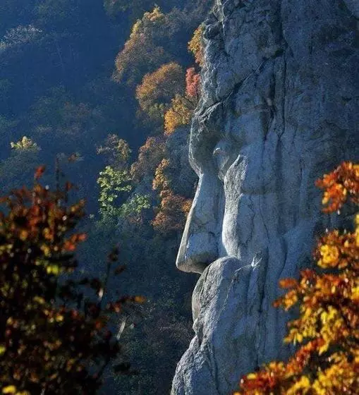 Pensiunea Alex & Restaurant