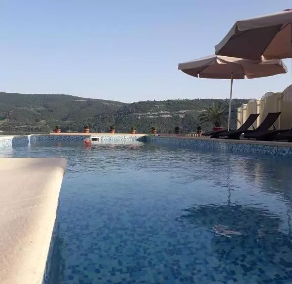 Pensiunea Alex & Restaurant