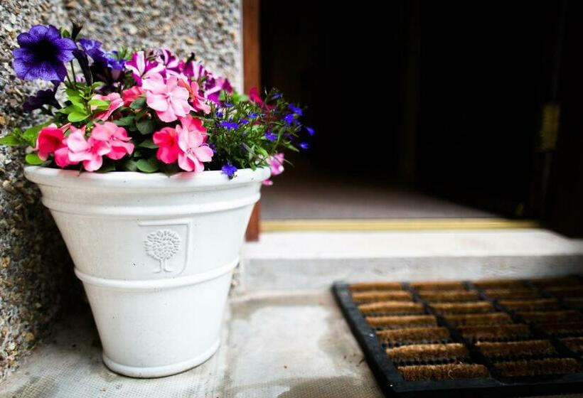 The Forge Bed & Breakfast