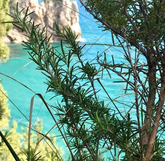 Bed and Breakfast Appio Claudio Tre