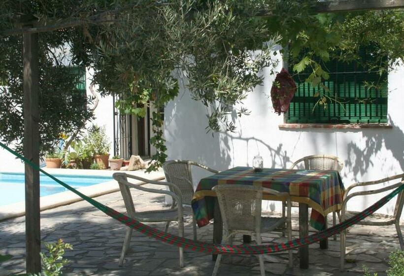 住宿加早餐 La Alhucema