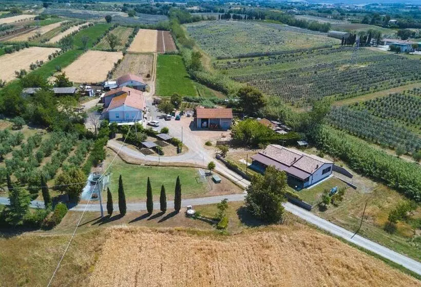 ホテル Agriturismo Ferri