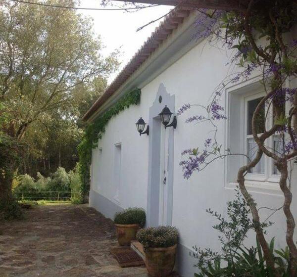 פנסיון Monte Dos Papa Figos