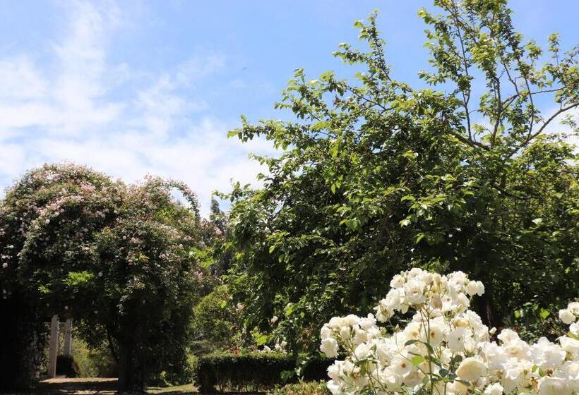 פנסיון Monte Dos Papa Figos