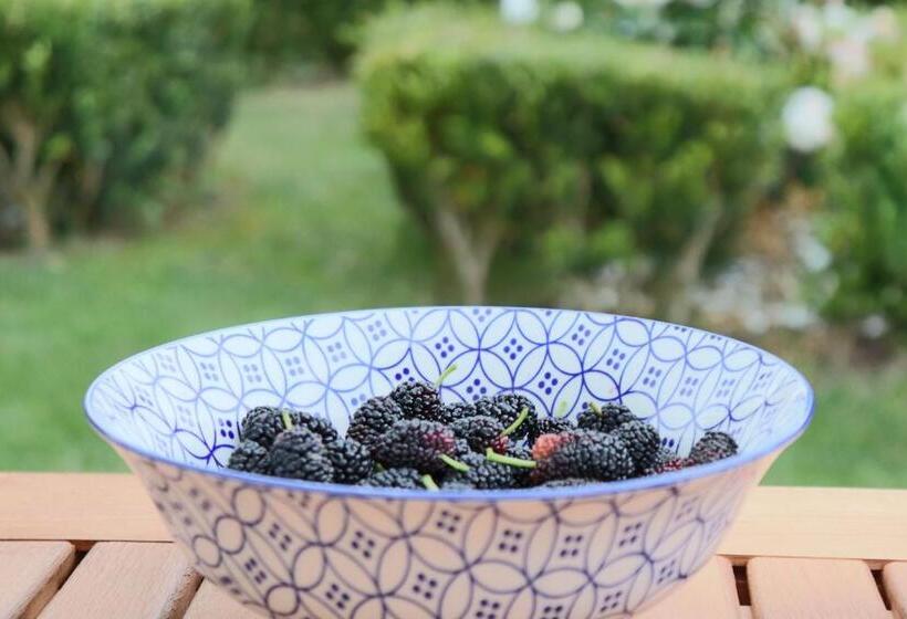 פנסיון Monte Dos Papa Figos