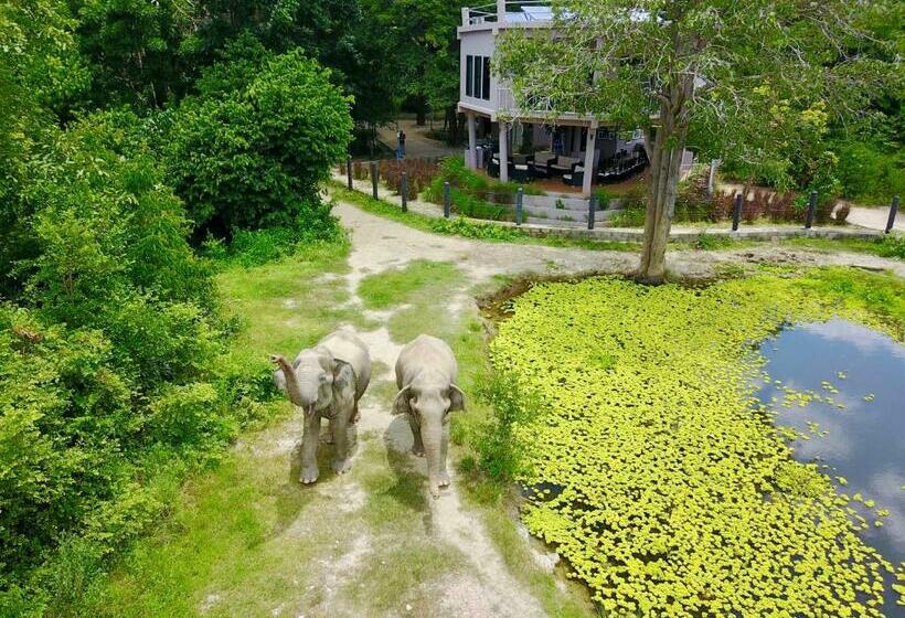 منتجع I Love Phants Lodge