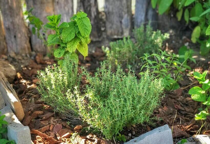 צימר Casa Balsamo