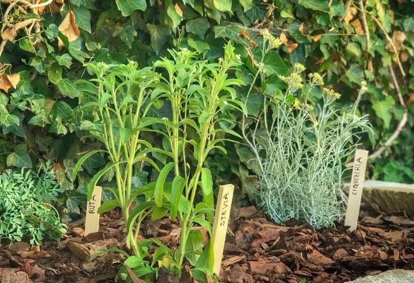 צימר Casa Balsamo