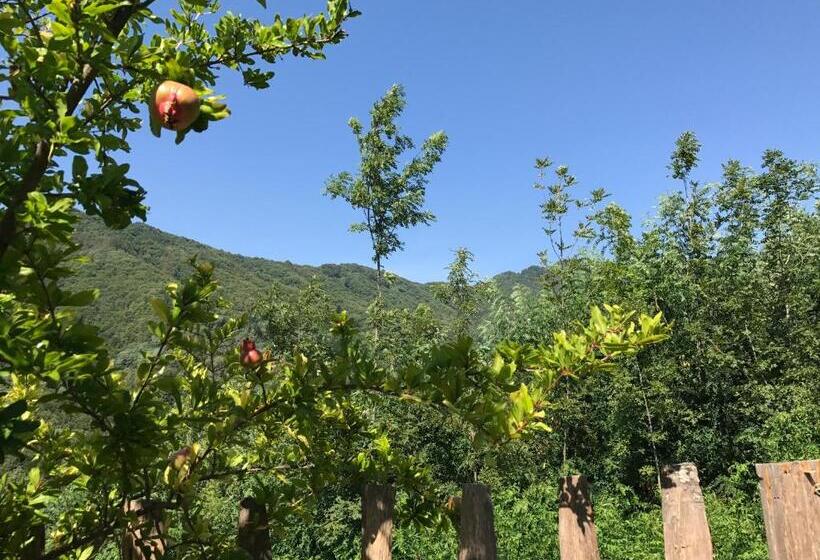 צימר Casa Balsamo