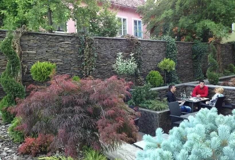 ホテル Central Park Sighisoara