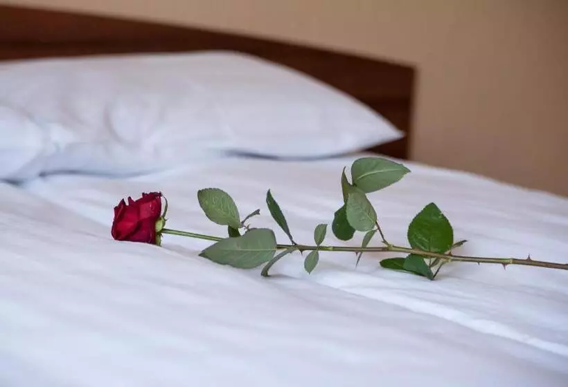 Отель Hetmański