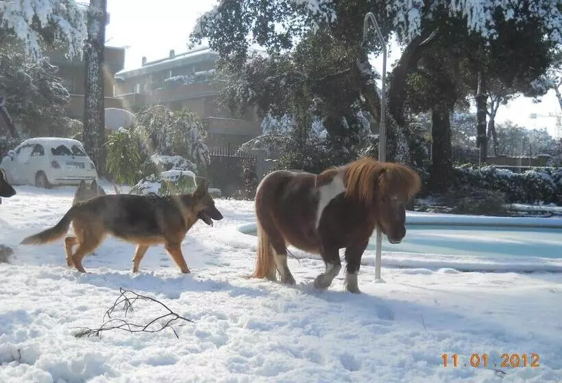 בית מלון כפרי Relais La Canfora