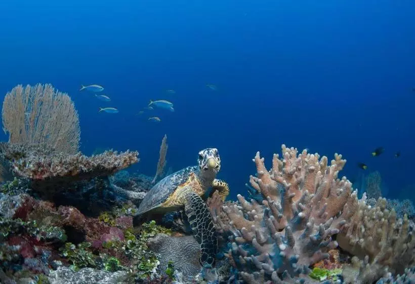 هتل Six Senses Laamu