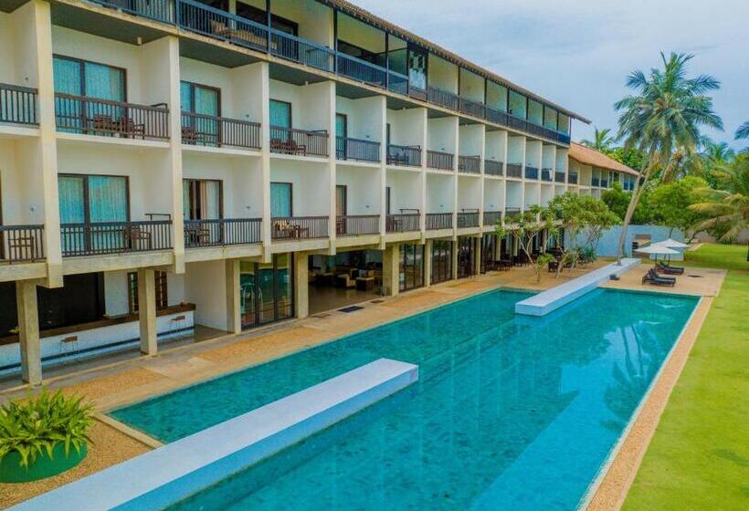 酒店 Temple Tree Resort & Spa